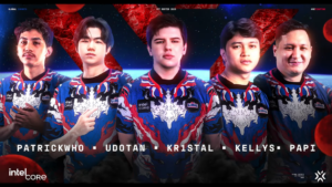 Home 13 esports 2